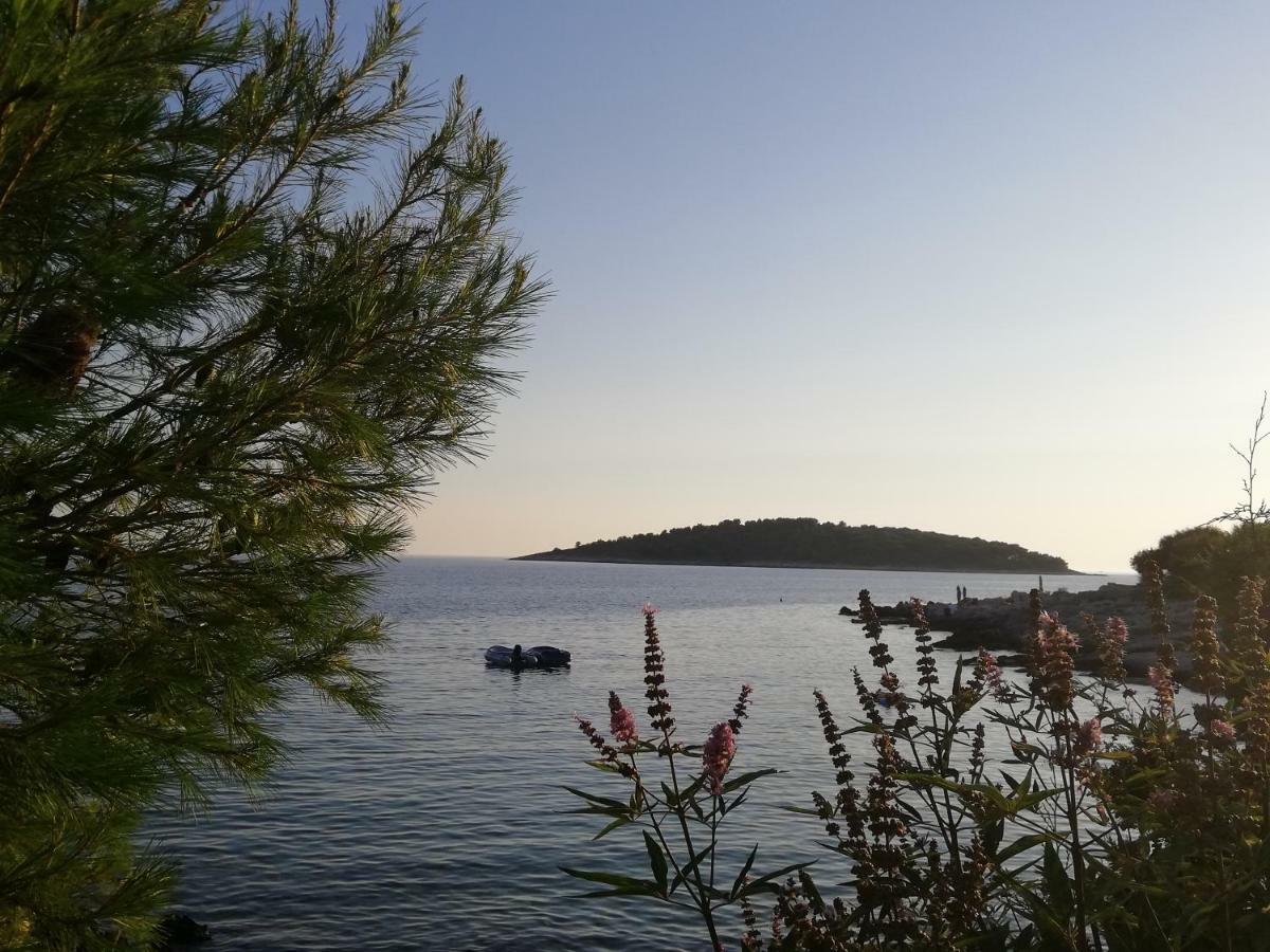 Villa Perla Dalmatica Rogoznica (Sibenik-Knin) Exterior foto